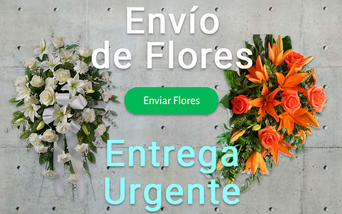 Envío de coronas funerarias urgente a el Tanatorio Ciudad de Oviedo